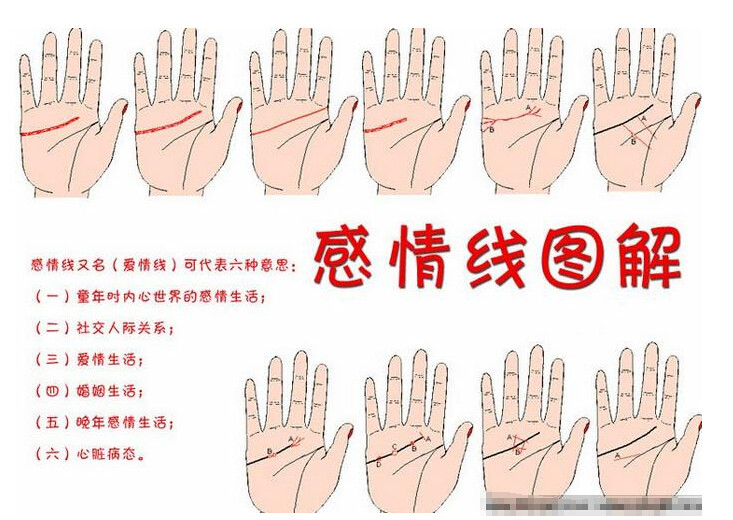 手相图解大全： 感情线分叉图解(点击浏览下一张趣图)
