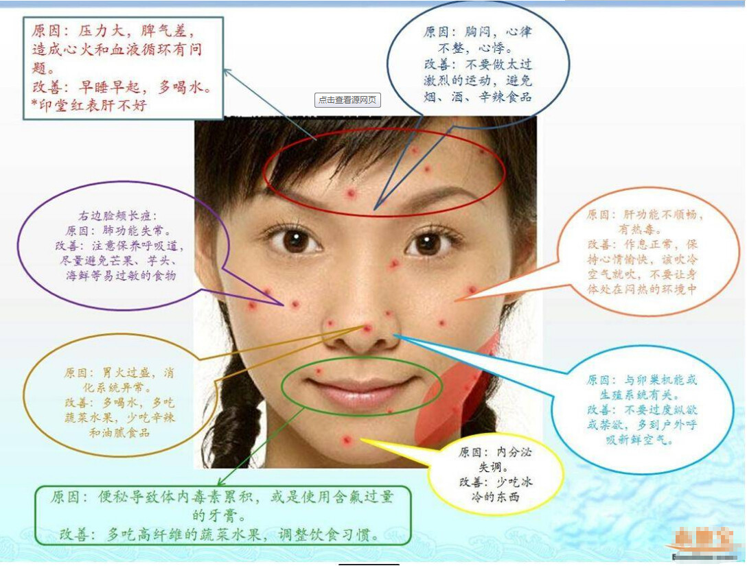 长痘痘的位置图解(2)(点击浏览下一张趣图)