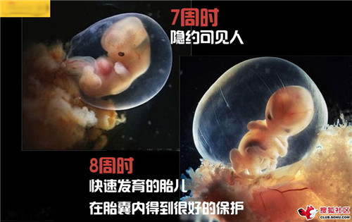 造人全过程图解：结婚晚上怎样造人(35)(点击浏览下一张趣图)