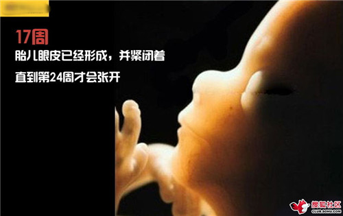 造人全过程图解：结婚晚上怎样造人(42)(点击浏览下一张趣图)