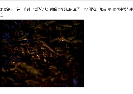 下水道的美人鱼图解(5)(点击浏览下一张趣图)