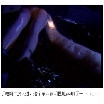 下水道的美人鱼图解(55)(点击浏览下一张趣图)