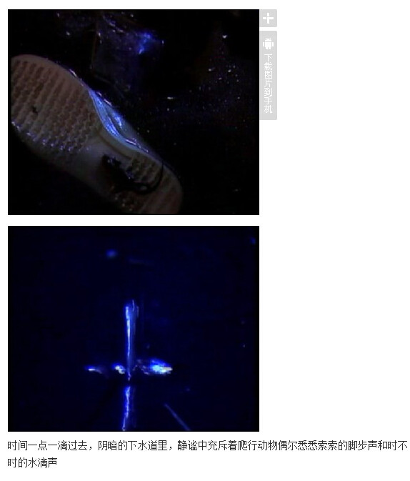 下水道的美人鱼图解(72)(点击浏览下一张趣图)