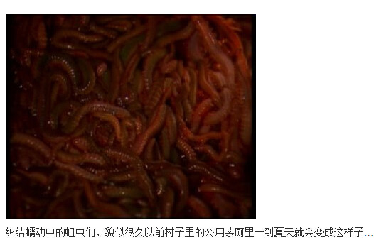 下水道的美人鱼图解(225)(点击浏览下一张趣图)