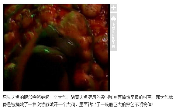 下水道的美人鱼图解(231)(点击浏览下一张趣图)