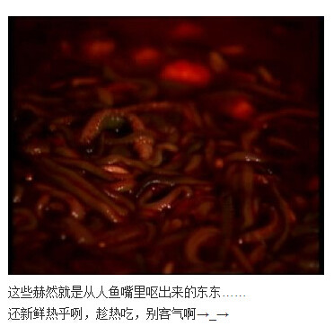 下水道的美人鱼图解(249)(点击浏览下一张趣图)