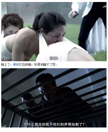 人体蜈蚣图解(73)(点击浏览下一张趣图)