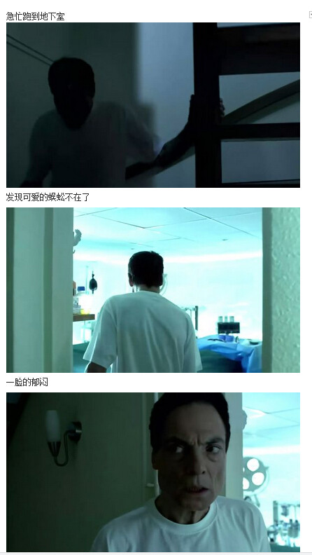 人体蜈蚣图解(95)(点击浏览下一张趣图)