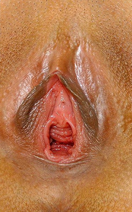 女性生殖器真人放大图图解(3)(点击浏览下一张趣图)
