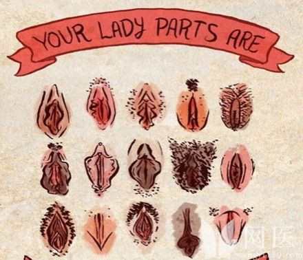 女性生殖器真人放大图图解(8)(点击浏览下一张趣图)
