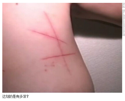 乱鬼龙图解：日本乱鬼龙系列图解(28)(点击浏览下一张趣图)