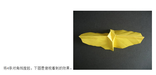 川崎玫瑰折法图解带【视频】(17)(点击浏览下一张趣图)