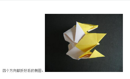 川崎玫瑰折法图解带【视频】(39)(点击浏览下一张趣图)