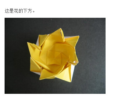 川崎玫瑰折法图解带【视频】(41)(点击浏览下一张趣图)