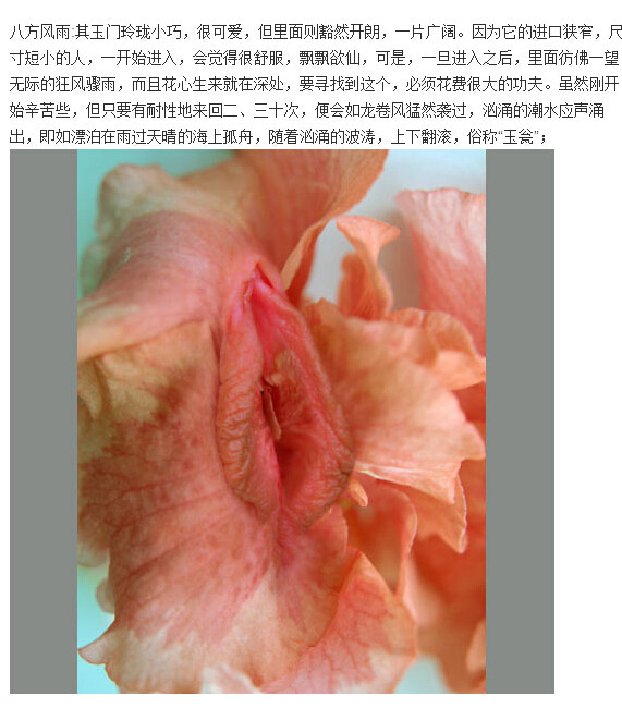 女人十大名器形状图：b分几种类型图解(2)(点击浏览下一张趣图)