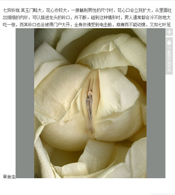 女人十大名器形状图：b分几种类型图解(3)(点击浏览下一张趣图)