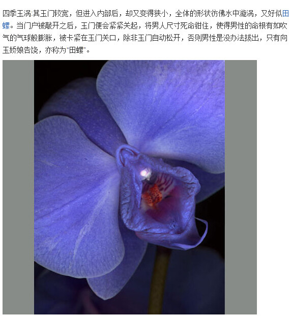 女人十大名器形状图：b分几种类型图解(6)(点击浏览下一张趣图)