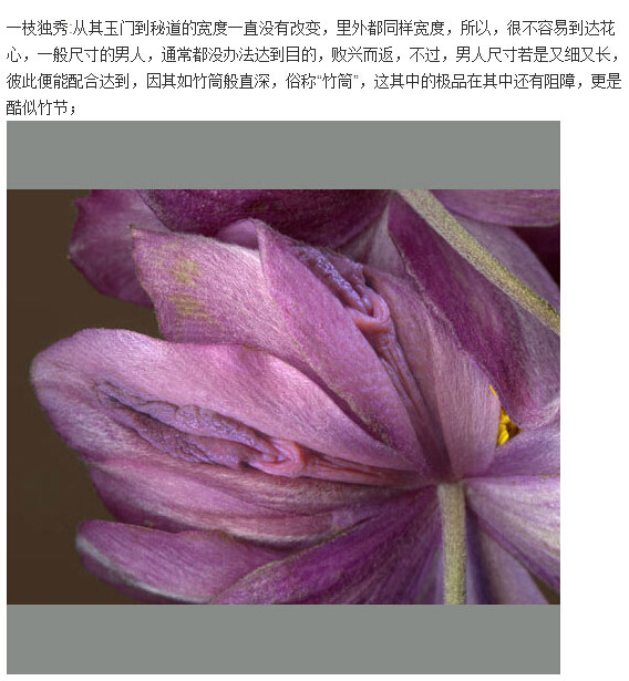 女人十大名器形状图：b分几种类型图解(8)(点击浏览下一张趣图)