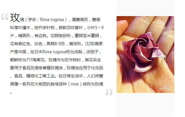 人民币折玫瑰花图解(点击浏览下一张趣图)