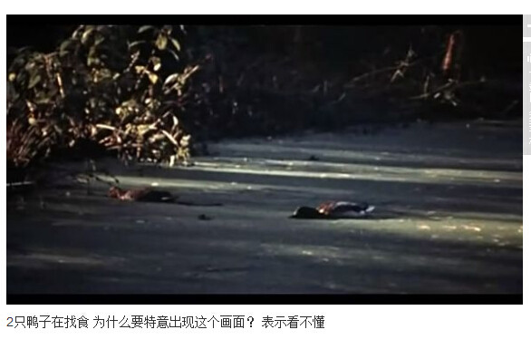杀人不分左右图解(4)(点击浏览下一张趣图)