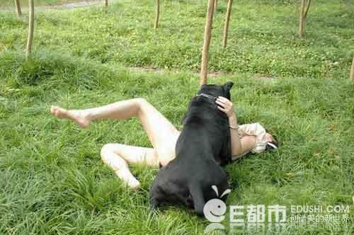 女人和狗在野外交配图(点击浏览下一张趣图)