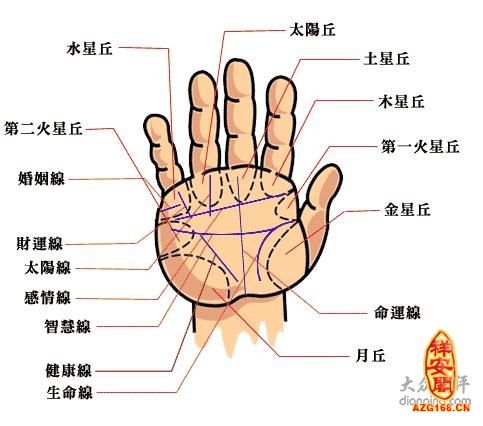 婚姻线分叉图解(点击浏览下一张趣图)