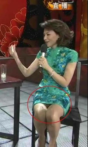 董卿春晚内裤的颜色图片 董卿生活糜烂不堪(4)(点击浏览下一张趣图)