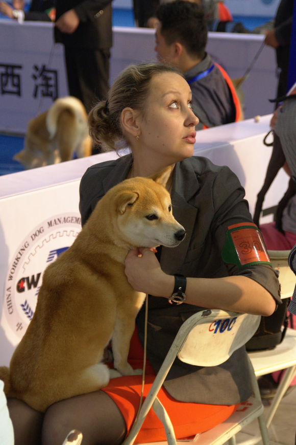 女人爱狗狗微博：女人爱狗狗微博图片(5)(点击浏览下一张趣图)
