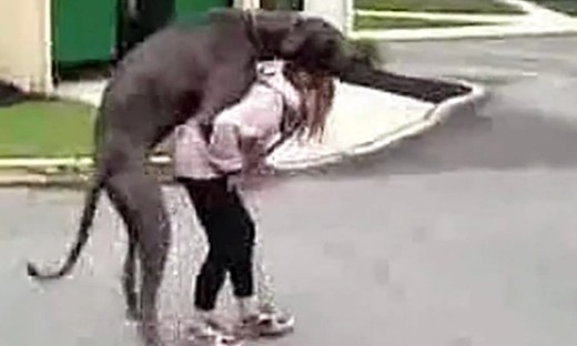 女人爱狗狗微博：女人爱狗狗微博图片(8)(点击浏览下一张趣图)
