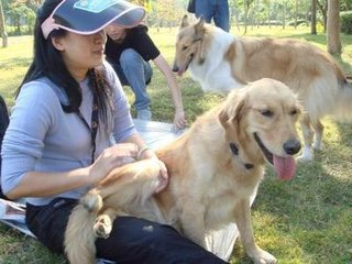 女人爱狗狗微博：女人爱狗狗微博图片(11)(点击浏览下一张趣图)