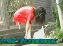 东京街头偷袭gif 东京街头突袭拔毛视频 街头偷袭系列动态图(10)(点击浏览下一张趣图)