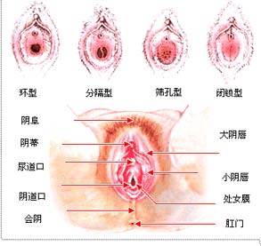 完整的初女模图片 初女模真实图片 (2)(点击浏览下一张趣图)