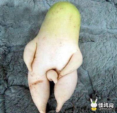 女生说吃蘑菇什么意思(点击浏览下一张趣图)