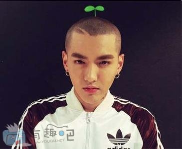 吴亦凡怎么剃光头了 吴亦凡光头图片(3)(点击浏览下一张趣图)