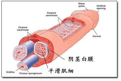 jelq一星期几次(点击浏览下一张趣图)