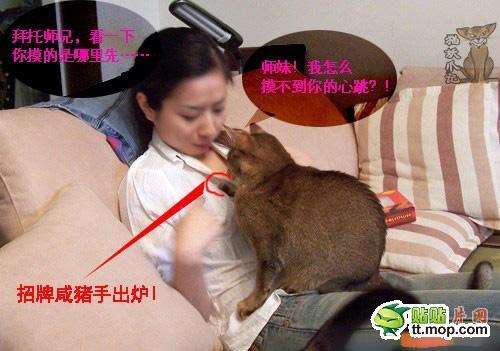 好色猫色诱沙发美女抵挡不住啊 (3)(点击浏览下一张趣图)