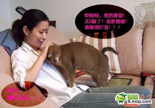 好色猫色诱沙发美女抵挡不住啊 (4)(点击浏览下一张趣图)