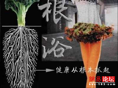 体验根浴图片过程图(6)(点击浏览下一张趣图)