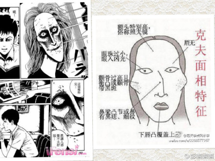 克夫的女人面相(点击浏览下一张趣图)
