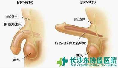 晨勃照片(点击浏览下一张趣图)
