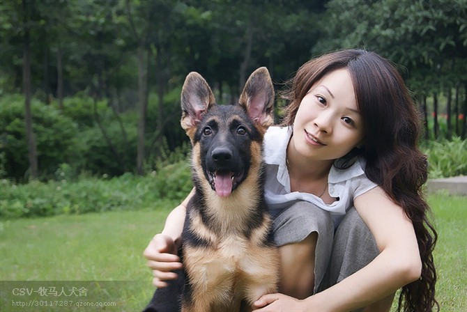 潜入爱狗群截图 女士爱狗狗群图 爱狗女士群2015年(点击浏览下一张趣图)