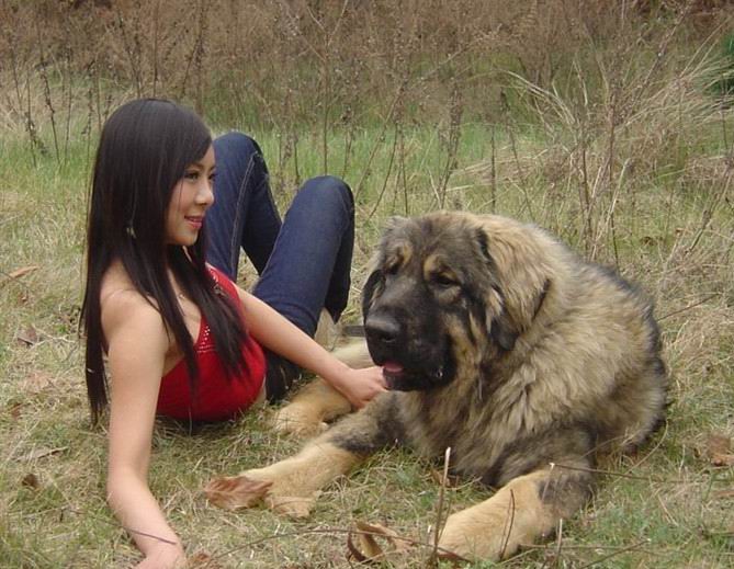194727694的群截图 爱狗群内部截图2016 记者卧底女人爱狗群(6)(点击浏览下一张趣图)