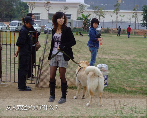 宝妈爱狗内涵图片 宝妈们给个网站2015年综合图(7)(点击浏览下一张趣图)