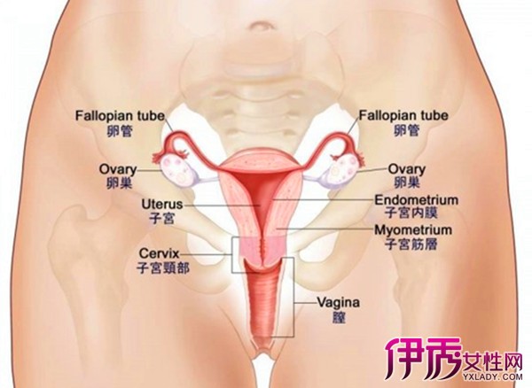 初潮一般几天干净(点击浏览下一张趣图)