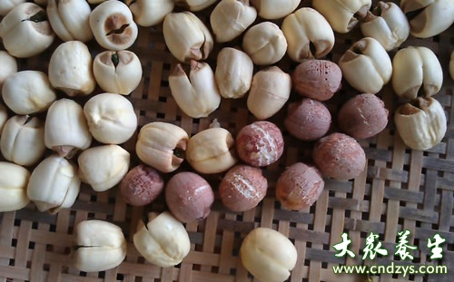 芡实怎么吃(点击浏览下一张趣图)