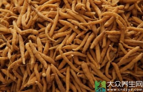 太子参的吃法(点击浏览下一张趣图)