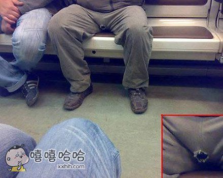 男人的裤裆破了洞(点击浏览下一张趣图)