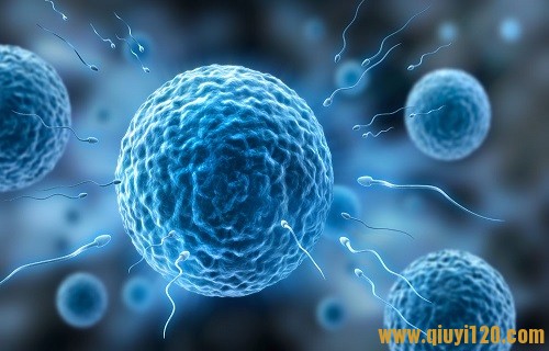 精子质量不行可能与肥胖有关?(点击浏览下一张趣图)