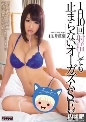 山川青空(やまかわせいら)所有的作品封面及全部番号列表(14)(点击浏览下一张趣图)