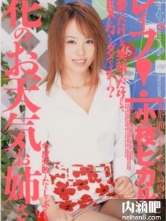 小枝光(小枝ヒカル)所有的作品封面及全部番号列表(点击浏览下一张趣图)